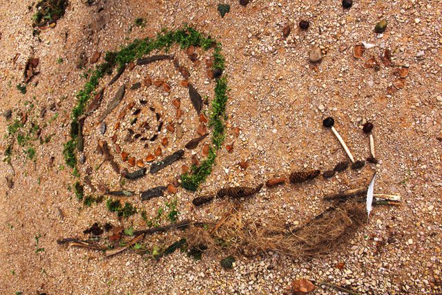 Exemple d'une œuvre d'art écologique qui représente un escargot dessiné au sol avec des végétaux et minéraux ramassés et organisés lors d'une animation Land Art