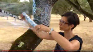 La land art artiste Ana Fernandes en harmonie avec la nature du Portugal en Alentejo