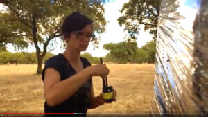 Une Land art artiste Ana Fernandes et un arbre au Portugal